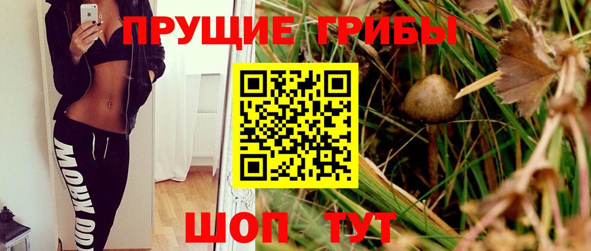 наркотики  Вход с VPN  Кемерово  Галлюциногенные грибы Psilocybine cubensis 