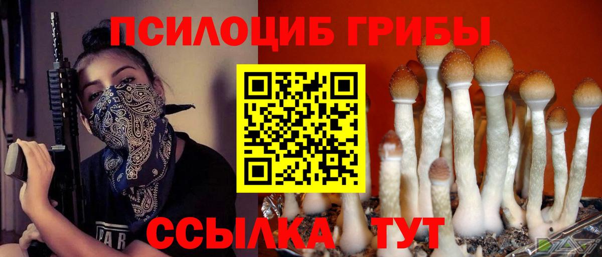 Галлюциногенные грибы ЛСД Кемерово